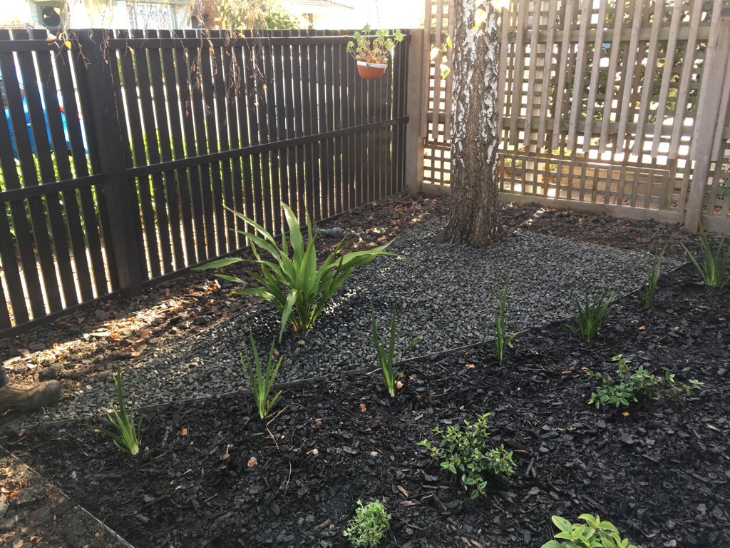 What to plant under a Birch tree? Small Spaces Garden Design