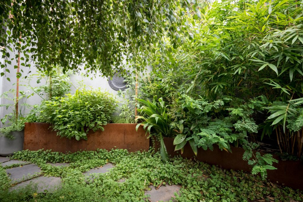 Garden renovation with Small Spaces in Melbourne