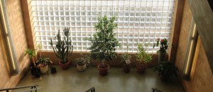 Small Spaces Garden Design, Melbourne