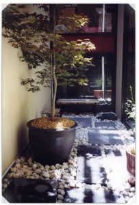 Latest Work | Small Spaces Garden Design