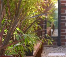 Sideway Garden | Small Spaces Garden Design, Coburg VIC