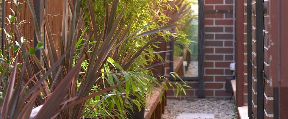Sideway Garden | Small Spaces Garden Design, Coburg VIC