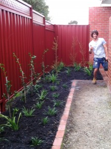 Sustainable Gardens | Small Spaces Garden Design