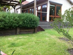 Open space for dog and kids