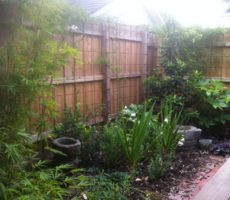 MolesworthStreet - 50 of 56