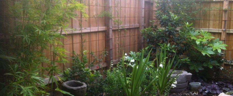 MolesworthStreet - 50 of 56