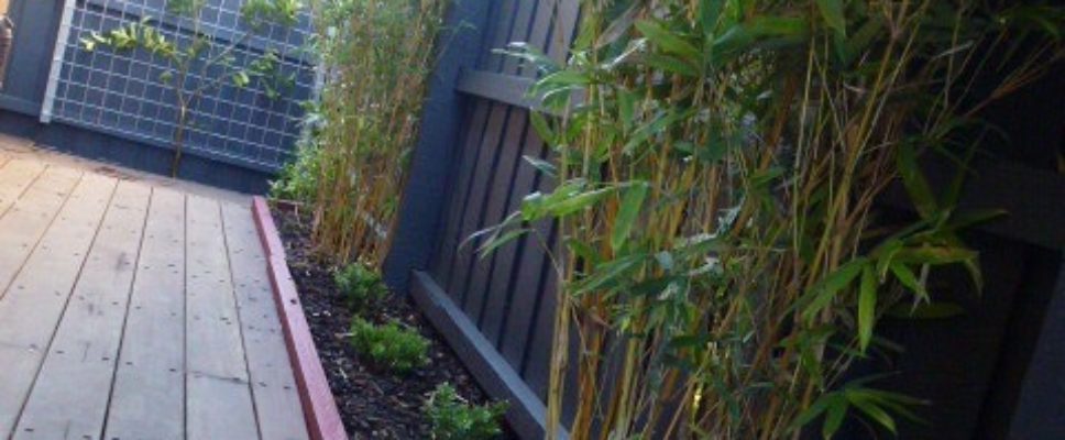 WaxmanBeforeAfterEast2 - 1