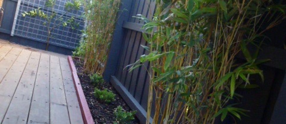 WaxmanBeforeAfterEast2 - 1