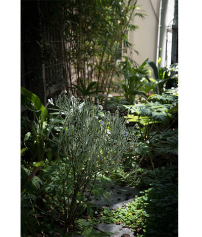 17_Molewsorthcloseup