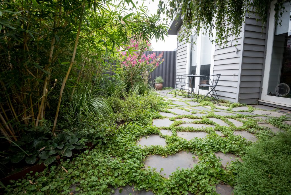 Melbourne Backyard garden design ideas to suit you.