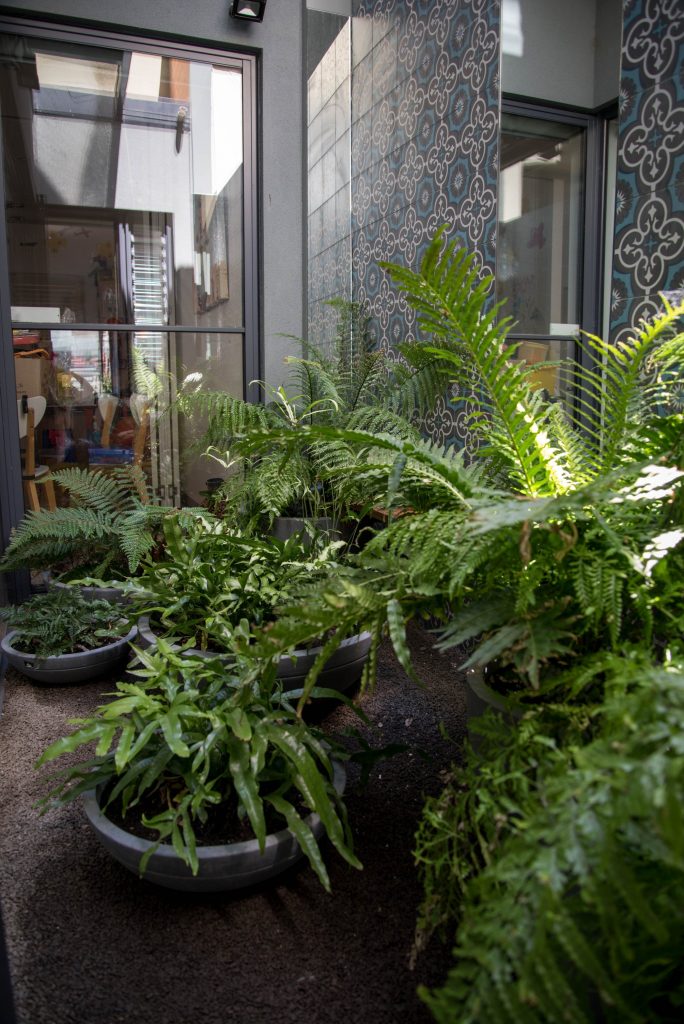 light well garden design by small spaces in Melbourne