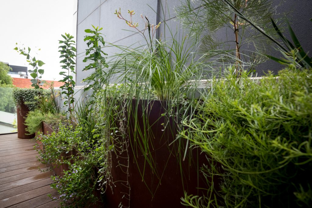 Your balcony garden is an investment in Melbourne