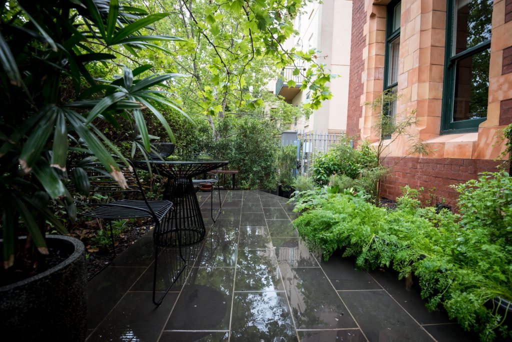 Your courtyard garden is a place of beauty in your Melbourne house.