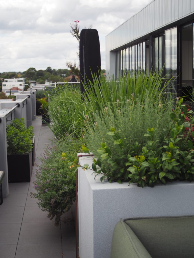 Picture of A penthouse garden with style - small spaces GARDEN DESIGN