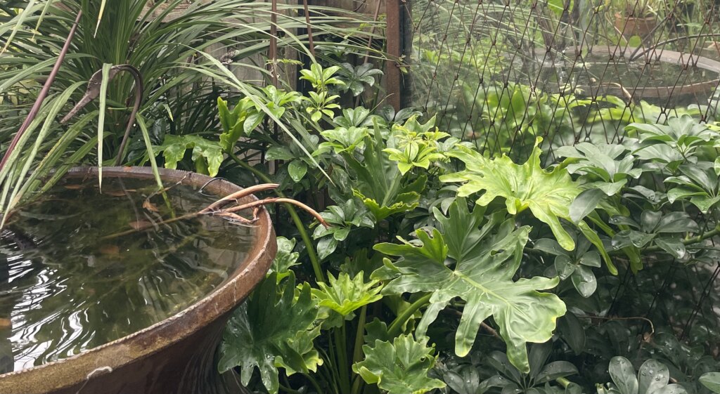 small garden small space